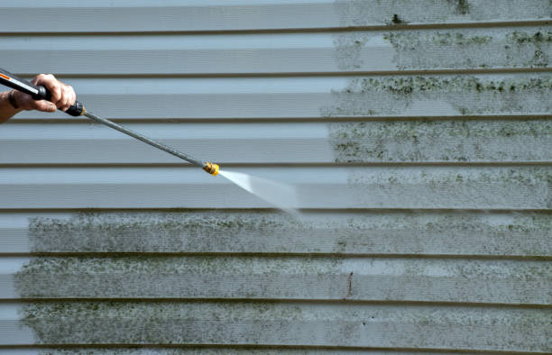 Best Patio and Deck Pressure Washing  in Frisco, TX